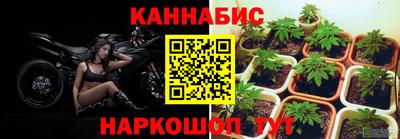 тгк Гусев