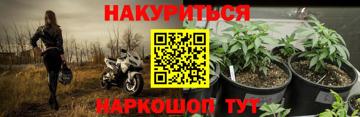 МАРИХУАНА ГИДРОПОН Истра